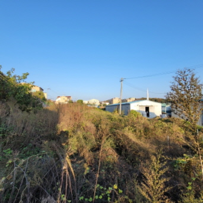 경기도 고양시 일산동구 문봉동 205-1 외 3필지 전 경매 사진 1