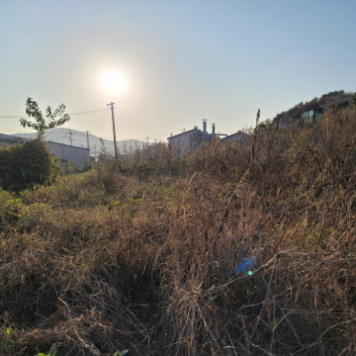 경기도 고양시 일산동구 문봉동 205-1 외 3필지 전 경매 사진 12