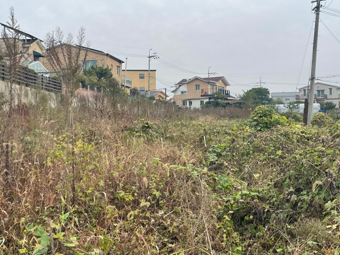 경기도 고양시 일산동구 문봉동 205-1 외 3필지 전 경매 사진 21