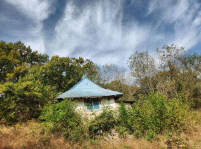 인천광역시 강화군 삼산면 상리 344-2 임야 경매 사진 2