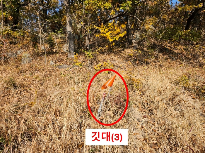 인천광역시 강화군 삼산면 상리 344-2 임야 경매 사진 19