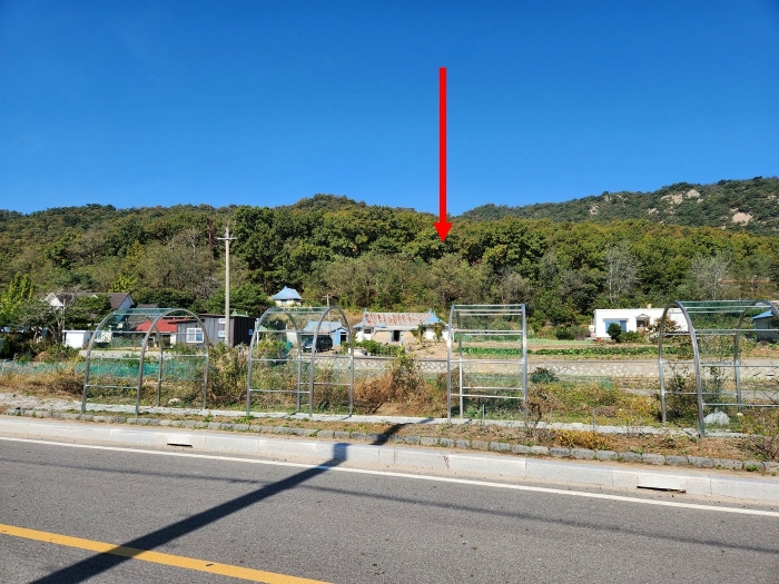 인천광역시 강화군 삼산면 상리 344-2 임야 경매 사진 8