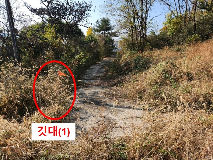 인천광역시 강화군 삼산면 상리 344-2 임야 경매 사진 10