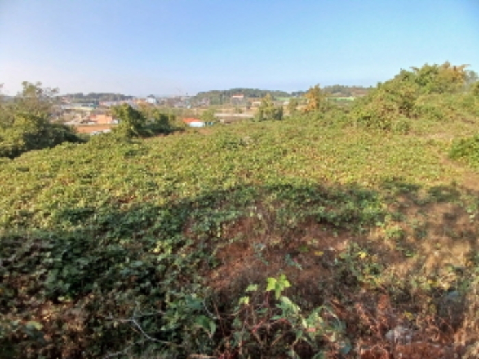 충청남도 당진시 석문면 통정리 417-1 외 15필지 대지 경매 사진 15