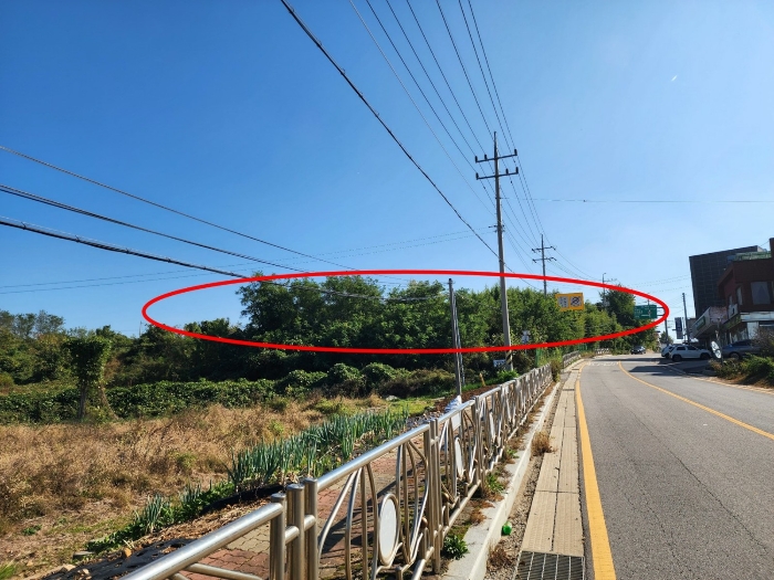충청남도 당진시 석문면 통정리 417-1 외 15필지 대지 경매 사진 36