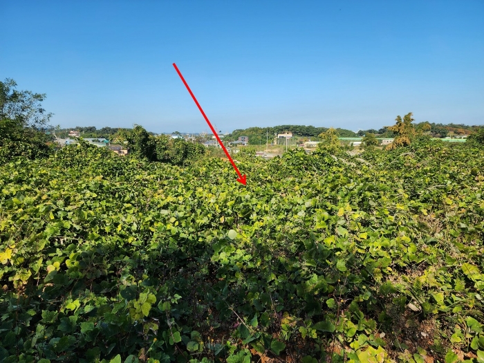 충청남도 당진시 석문면 통정리 417-1 외 15필지 대지 경매 사진 53