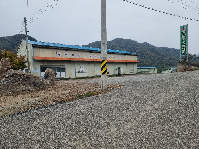 경상북도 영덕군 지품면 오천리 522 외 1필지 창고시설 경매 사진 10