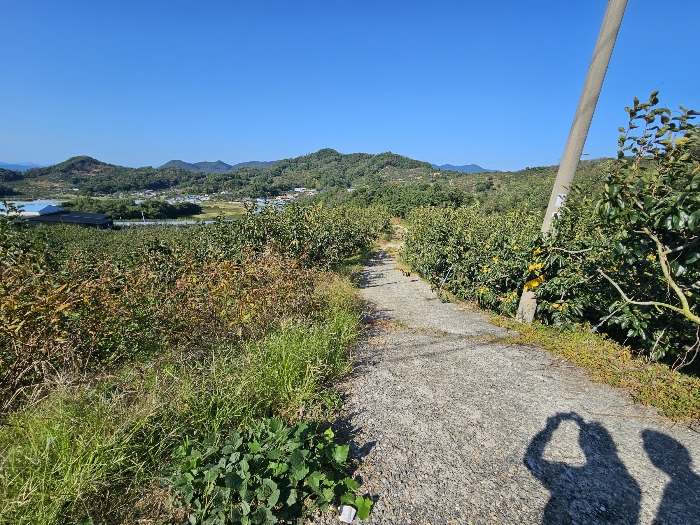 경상남도 함안군 칠북면 봉촌리 산384-2 임야 경매 사진 28