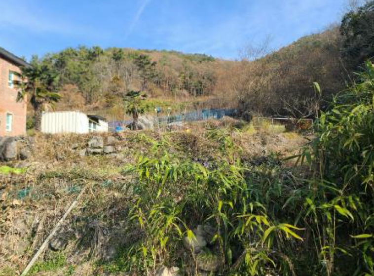 경상남도 거제시 연초면 죽토리 702 전 경매 사진 2