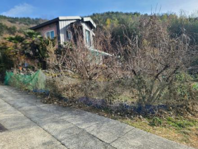 경상남도 거제시 연초면 죽토리 702 전 경매 사진 3