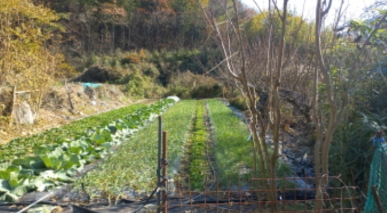 경상남도 거제시 연초면 죽토리 702 전 경매 사진 6