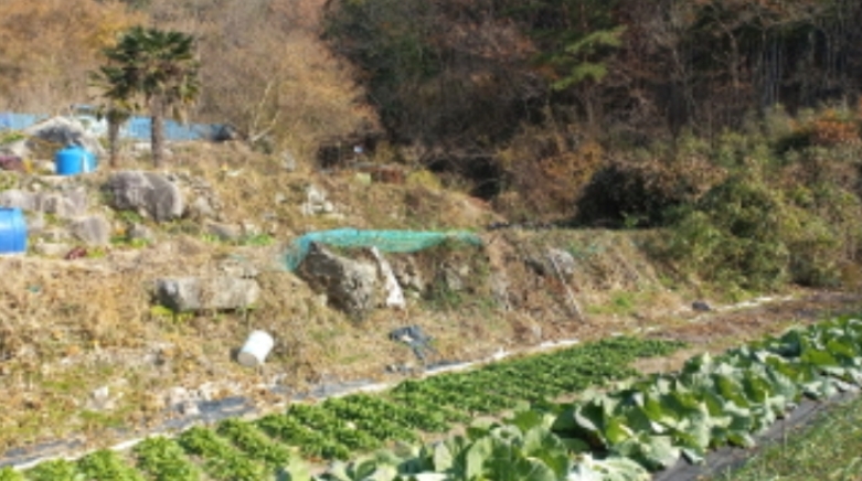 경상남도 거제시 연초면 죽토리 702 전 경매 사진 8