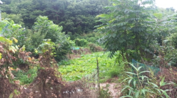 경상남도 거제시 연초면 죽토리 702 전 경매 사진 9