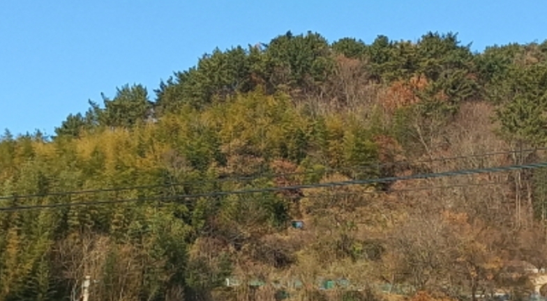 경상남도 거제시 연초면 죽토리 747 전 경매 사진 3