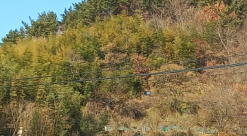 경상남도 거제시 연초면 죽토리 747 전 경매 사진 4