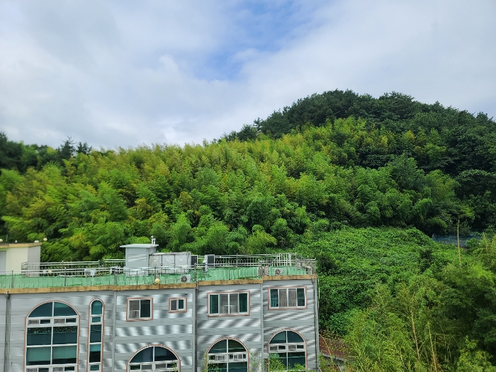 경상남도 거제시 연초면 죽토리 747 전 경매 사진 7