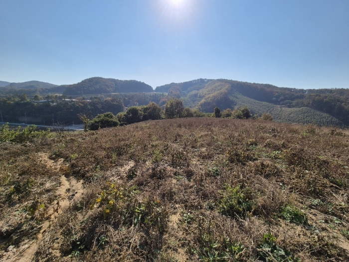 경기도 안성시 보개면 북가현리 산181 외 1필지 임야 경매 사진 27