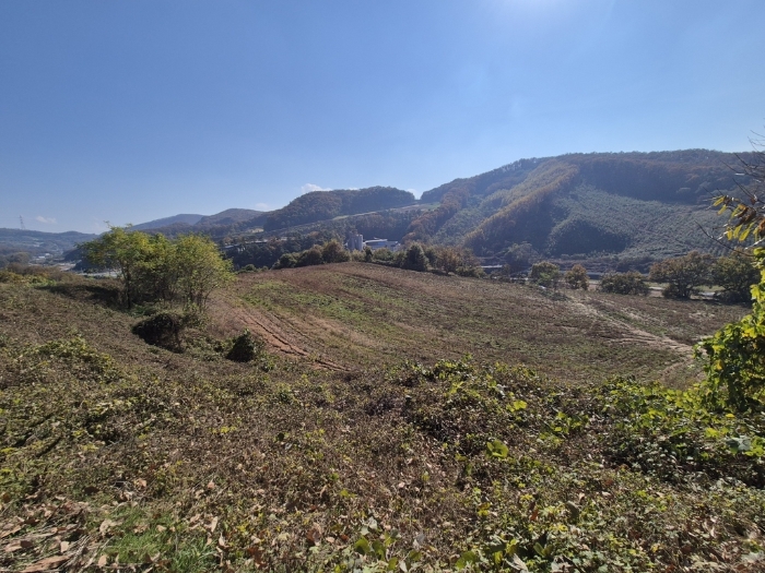 경기도 안성시 보개면 북가현리 산181 외 1필지 임야 경매 사진 29