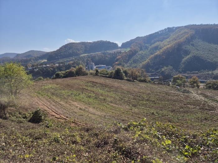 경기도 안성시 보개면 북가현리 산181 외 1필지 임야 경매 사진 30