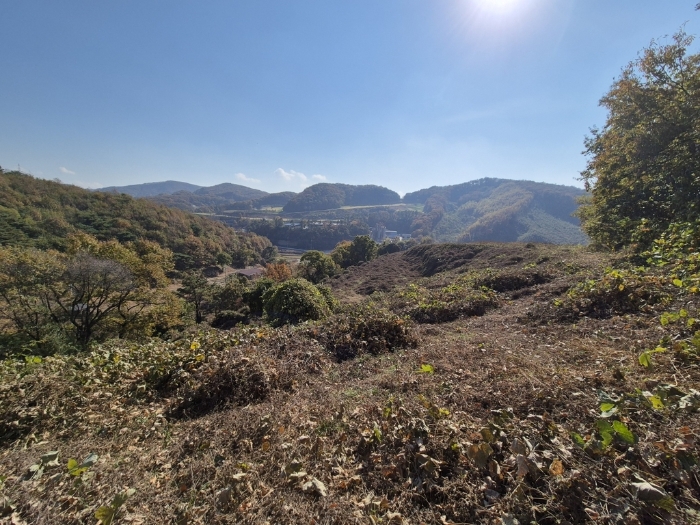 경기도 안성시 보개면 북가현리 산181 외 1필지 임야 경매 사진 31