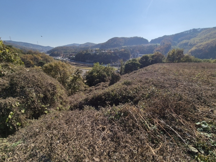 경기도 안성시 보개면 북가현리 산181 외 1필지 임야 경매 사진 32