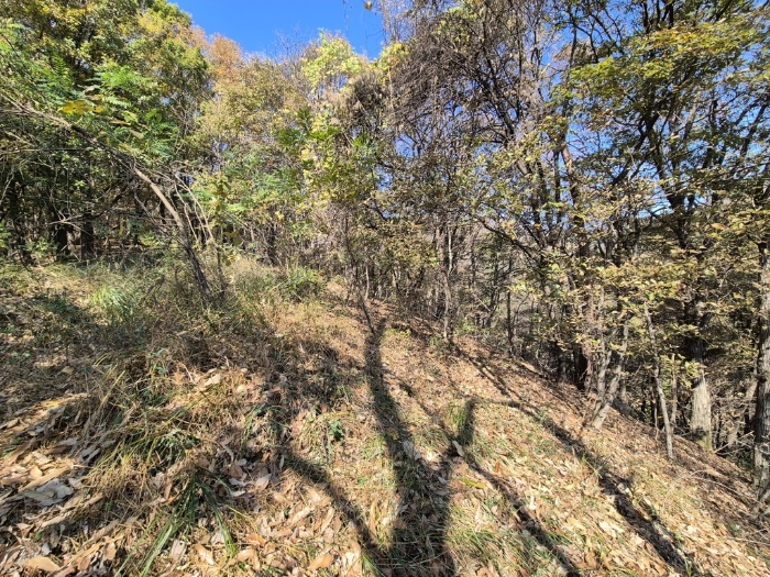 경기도 안성시 보개면 북가현리 산181 외 1필지 임야 경매 사진 33