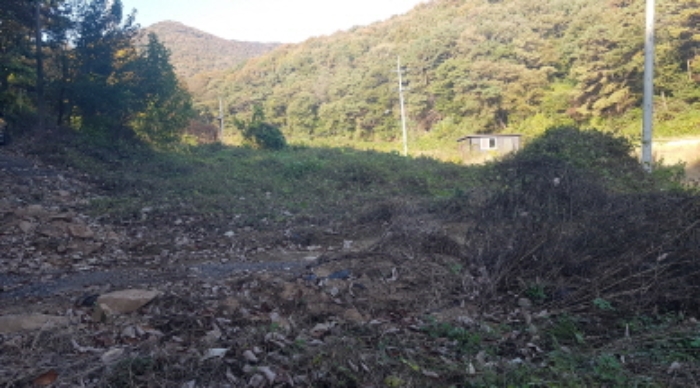 경기도 안성시 보개면 북가현리 산181 외 1필지 임야 경매 사진 6