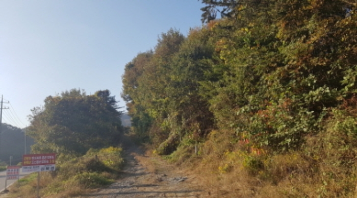경기도 안성시 보개면 북가현리 산181 외 1필지 임야 경매 사진 8