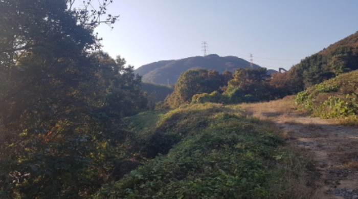경기도 안성시 보개면 북가현리 산181 외 1필지 임야 경매 사진 9