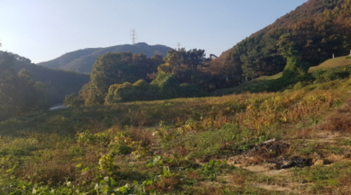 경기도 안성시 보개면 북가현리 산181 외 1필지 임야 경매 사진 10