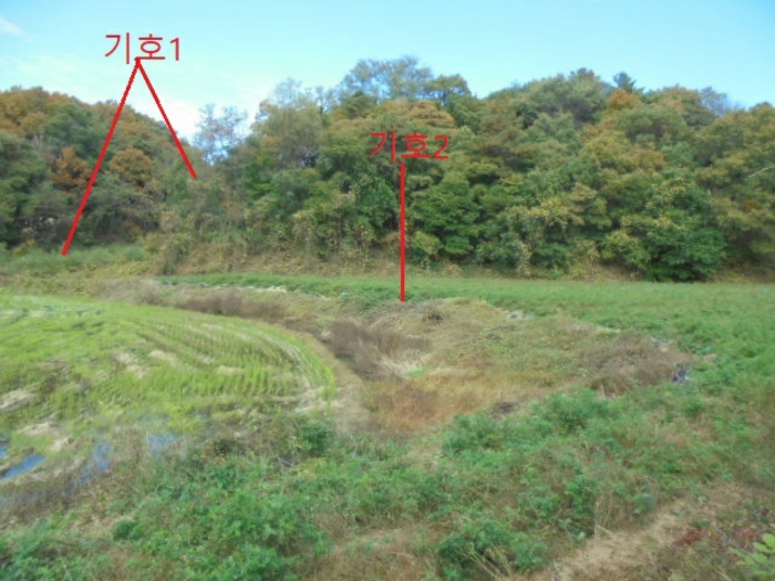 충청북도 제천시 산곡동 47 외 1필지 전 경매 사진 14