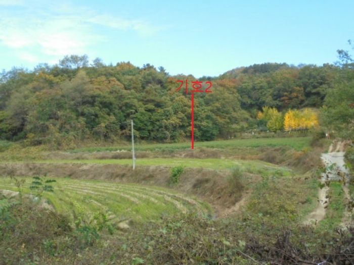 충청북도 제천시 산곡동 47 외 1필지 전 경매 사진 15