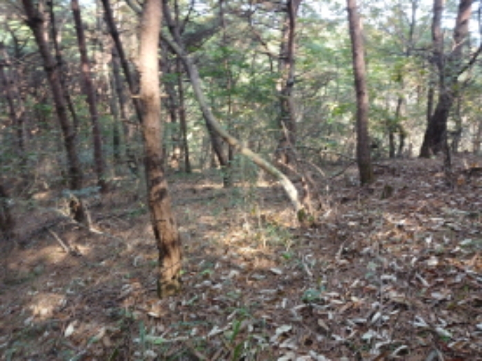 충청남도 당진시 고대면 옥현리 산298-6 임야 경매 사진 30