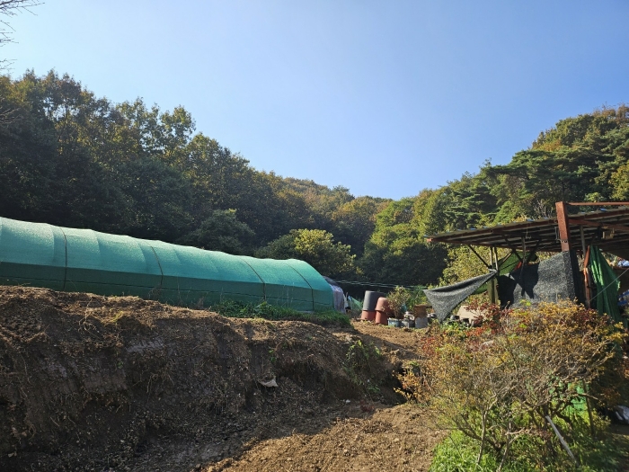 충청남도 당진시 고대면 옥현리 산298-6 임야 경매 사진 33