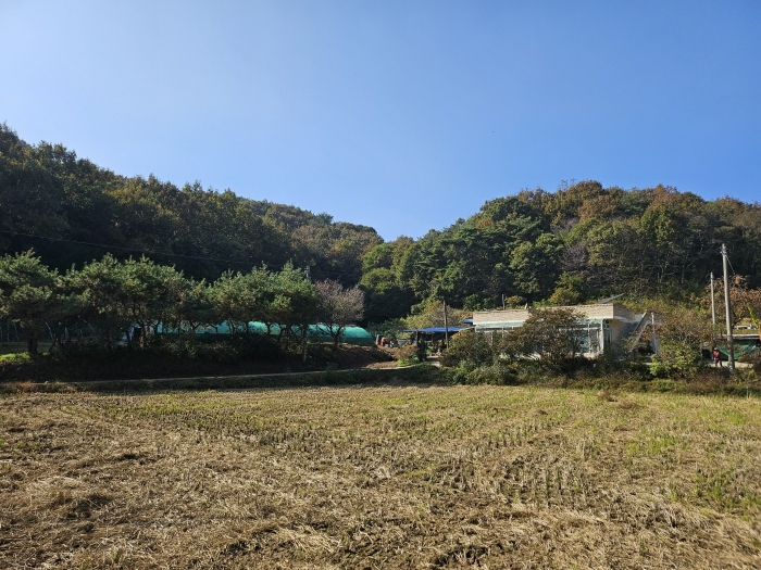 충청남도 당진시 고대면 옥현리 산298-6 임야 경매 사진 34