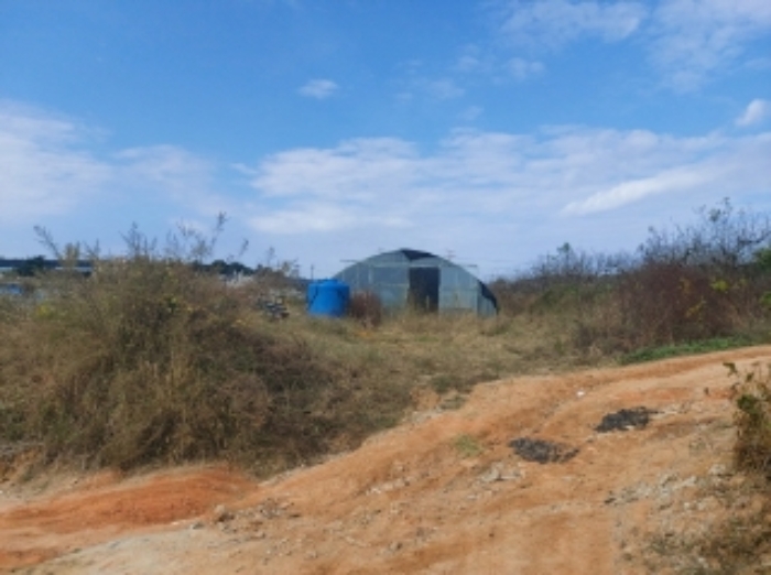 충청남도 당진시 합덕읍 대합덕리 501-2 외 3필지 전 경매 사진 3
