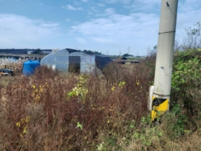 충청남도 당진시 합덕읍 대합덕리 501-2 외 3필지 전 경매 사진 4