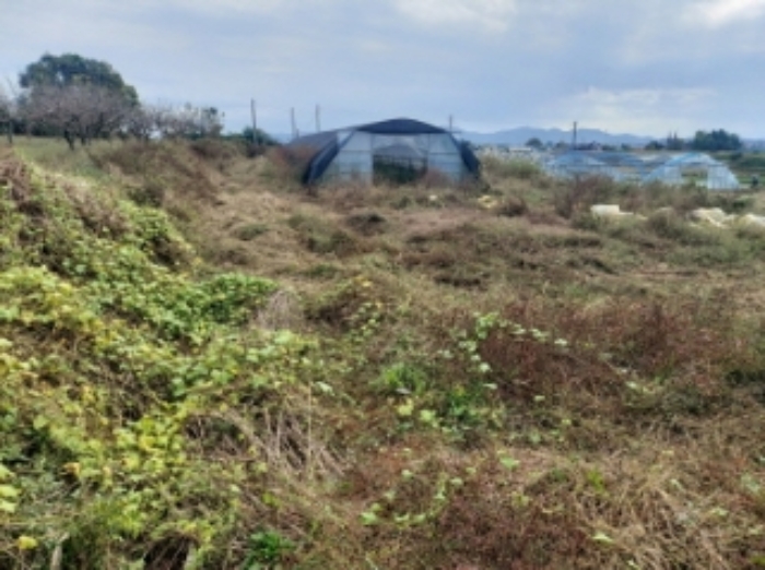 충청남도 당진시 합덕읍 대합덕리 501-2 외 3필지 전 경매 사진 7