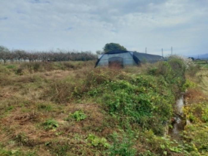 충청남도 당진시 합덕읍 대합덕리 501-2 외 3필지 전 경매 사진 9