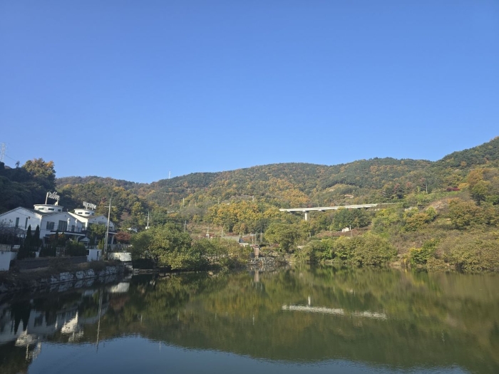 경상북도 청도군 이서면 팔조리 산40 임야 경매 사진 3