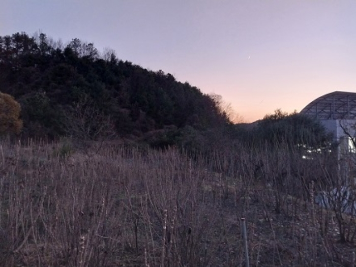 충청남도 공주시 월송동 산68-5 외 2필지 임야 경매 사진 1