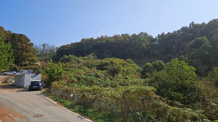충청남도 공주시 월송동 산68-5 외 2필지 임야 경매 사진 3