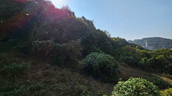 충청남도 공주시 월송동 산68-5 외 2필지 임야 경매 사진 5