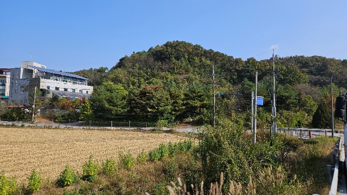 충청남도 공주시 월송동 산68-5 외 2필지 임야 경매 사진 6