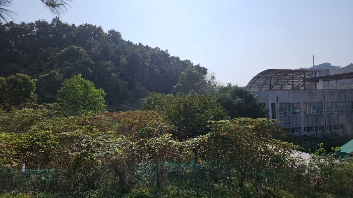 충청남도 공주시 월송동 산68-5 외 2필지 임야 경매 사진 7