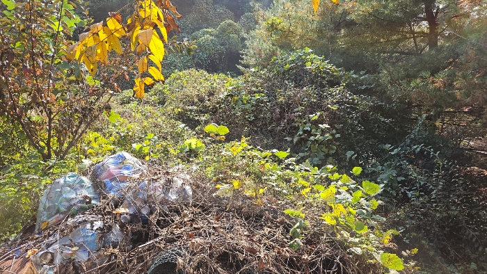 충청남도 공주시 월송동 산68-5 외 2필지 임야 경매 사진 8