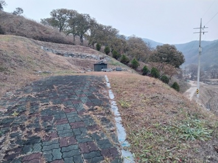 충청남도 공주시 정안면 어물리 12-1 외 1필지 임야 경매 사진 1