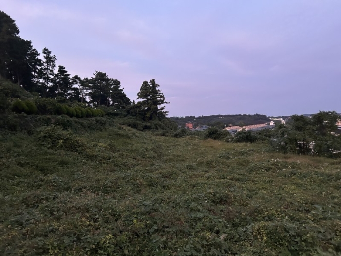 제주특별자치도 서귀포시 서홍동 1724-1 외 16필지 도로 경매 사진 31