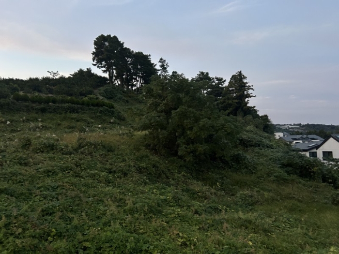제주특별자치도 서귀포시 서홍동 1724-1 외 16필지 도로 경매 사진 32