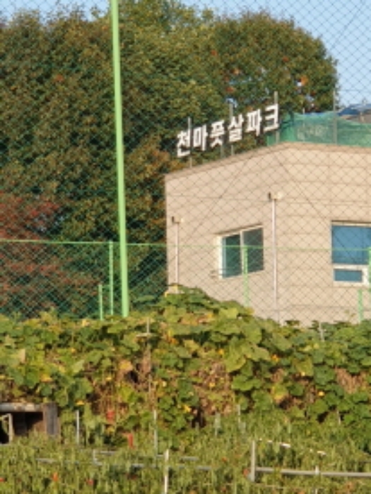 서울특별시 송파구 마천동 68-11 전 경매 사진 17